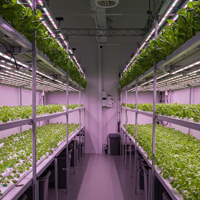 Hydroponics Farming